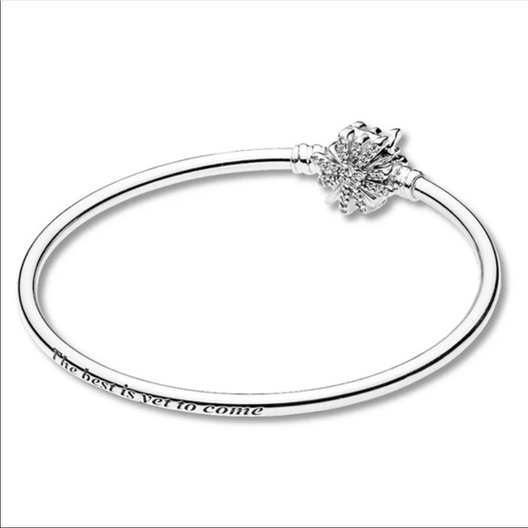 Pandora Bangle Bracelet - Picture 11 of 12